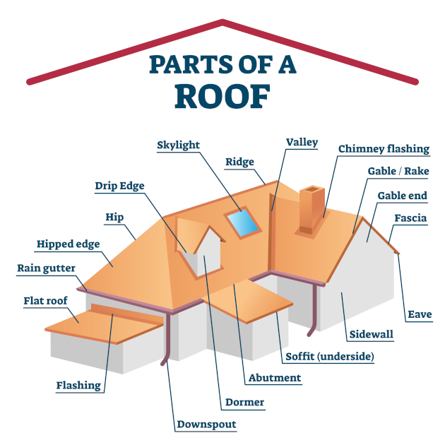 Parts of a Roof in New Orleans